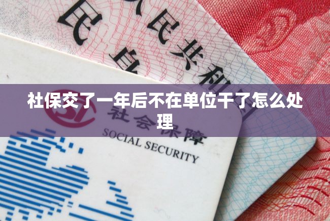 社保交了一年后不在单位干了怎么处理