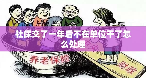 社保交了一年后不在单位干了怎么处理