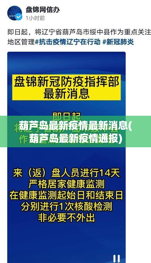葫芦岛最新疫情最新消息(葫芦岛最新疫情通报)