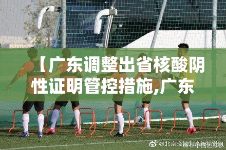【广东调整出省核酸阴性证明管控措施,广东出省查核酸】