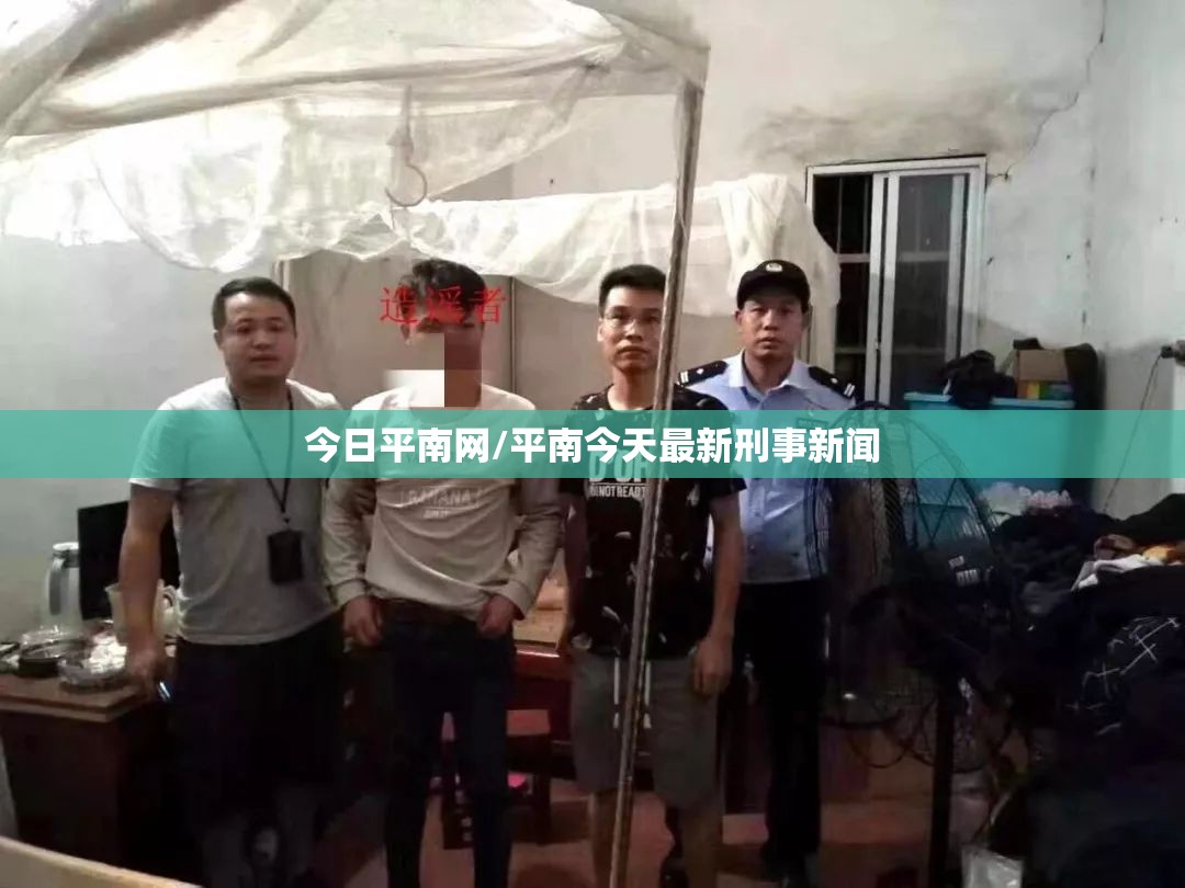 今日平南网/平南今天最新刑事新闻 今日平南网/平南今天最新刑事新闻