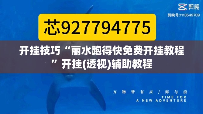 开挂技巧“丽水跑得快免费开挂教程”开挂(透视)辅助教程