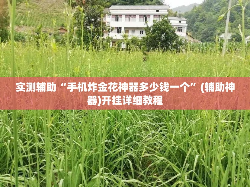 实测辅助“手机炸金花神器多少钱一个”(辅助神器)开挂详细教程