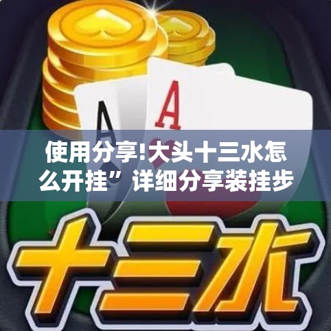 使用分享!大头十三水怎么开挂”详细分享装挂步骤