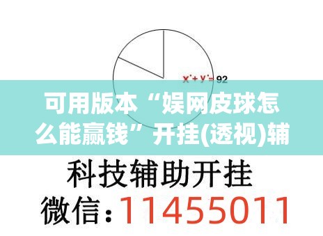 可用版本“娱网皮球怎么能赢钱”开挂(透视)辅助神器