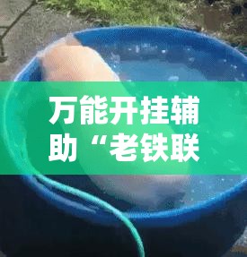 万能开挂辅助“老铁联盟辅助器免费版”科技辅助神器手机版