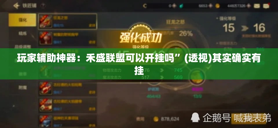 玩家辅助神器：禾盛联盟可以开挂吗”(透视)其实确实有挂