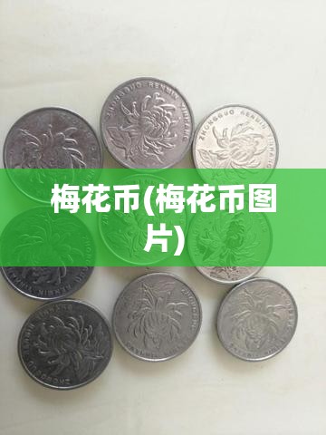 梅花币(梅花币图片)