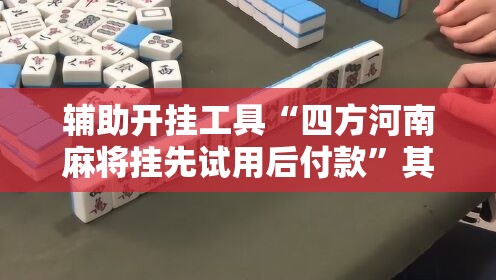 辅助开挂工具“四方河南麻将挂先试用后付款”其实确实有挂