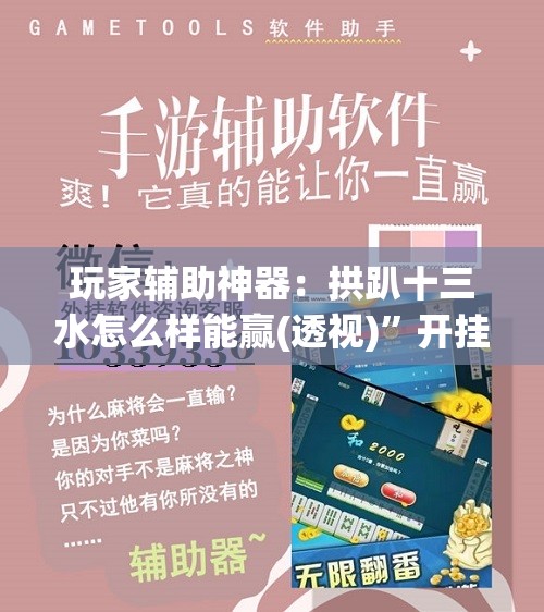 玩家辅助神器：拱趴十三水怎么样能赢(透视)”开挂辅助脚本+详细开挂安装教程
