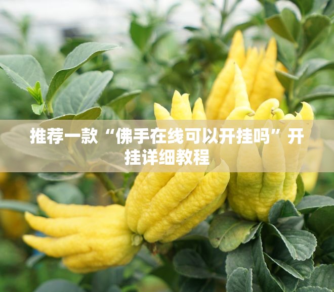 推荐一款“佛手在线可以开挂吗”开挂详细教程