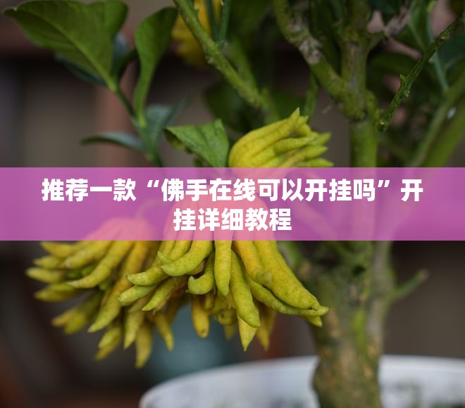 推荐一款“佛手在线可以开挂吗”开挂详细教程