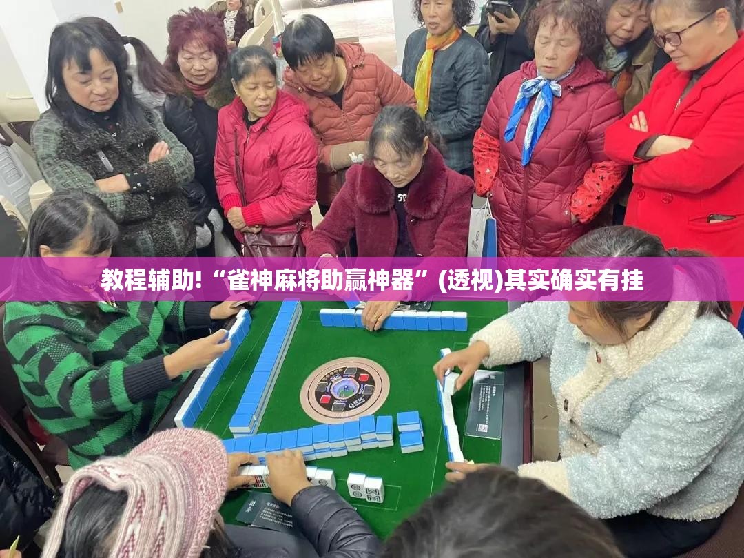 教程辅助!“雀神麻将助赢神器”(透视)其实确实有挂