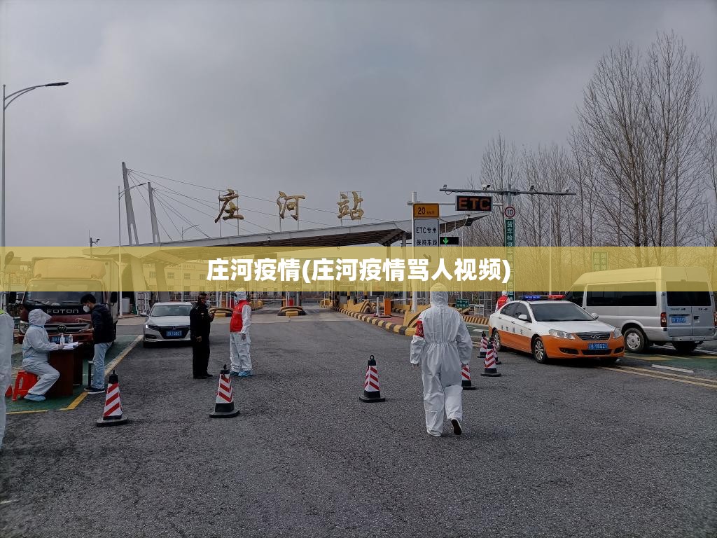 庄河疫情(庄河疫情骂人视频)