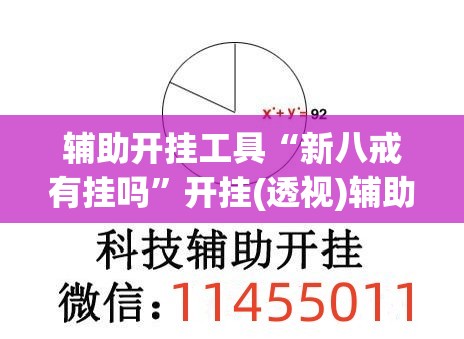 辅助开挂工具“新八戒有挂吗”开挂(透视)辅助神器