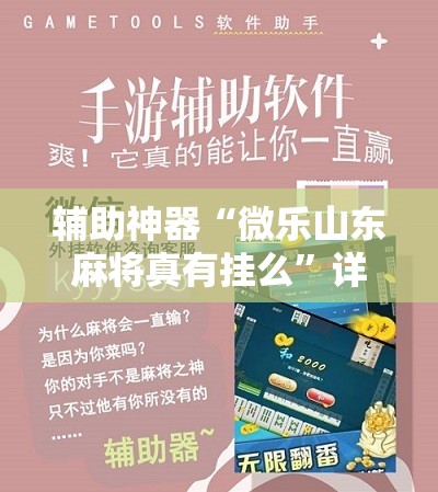 辅助神器“微乐山东麻将真有挂么	”详细分享装挂步骤