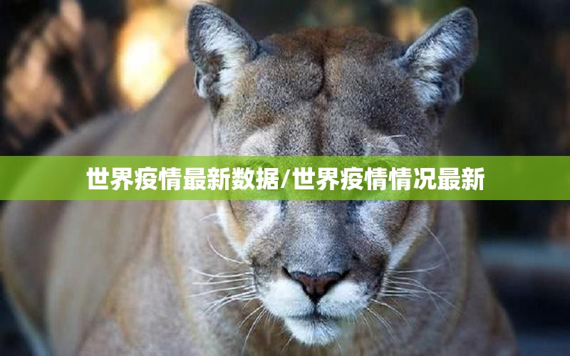 世界疫情最新数据/世界疫情情况最新