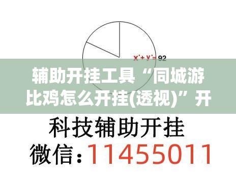 辅助开挂工具“同城游比鸡怎么开挂(透视)”开挂辅助脚本+详细开挂安装教程