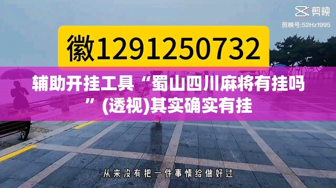 辅助开挂工具“蜀山四川麻将有挂吗”(透视)其实确实有挂