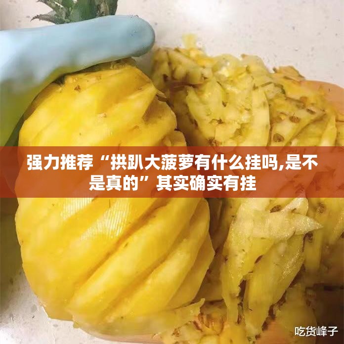 强力推荐“拱趴大菠萝有什么挂吗,是不是真的”其实确实有挂