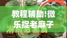 教程辅助!微乐捉老麻子有没有开挂神器”(透视)其实确实有挂