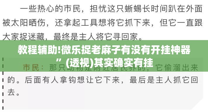 教程辅助!微乐捉老麻子有没有开挂神器	”(透视)其实确实有挂