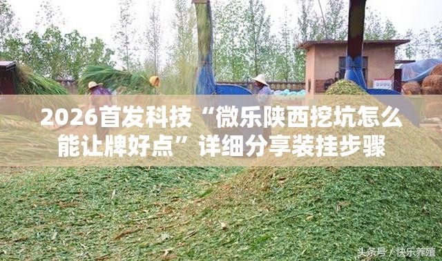 2026首发科技“微乐陕西挖坑怎么能让牌好点”详细分享装挂步骤
