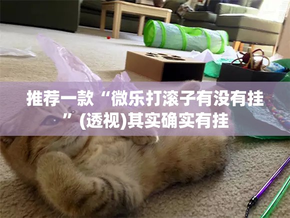 推荐一款“微乐打滚子有没有挂”(透视)其实确实有挂