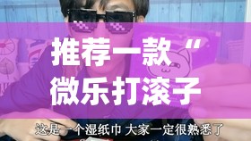 推荐一款“微乐打滚子有没有挂”(透视)其实确实有挂