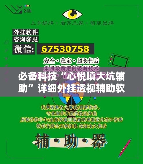 必备科技“心悦填大坑辅助”详细外挂透视辅助软件教程
