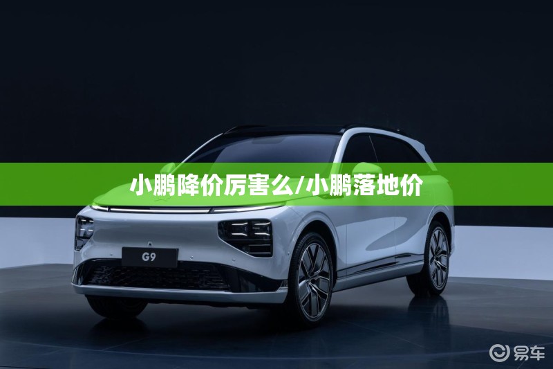 小鹏降价厉害么/小鹏落地价