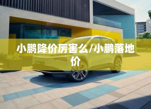 小鹏降价厉害么/小鹏落地价