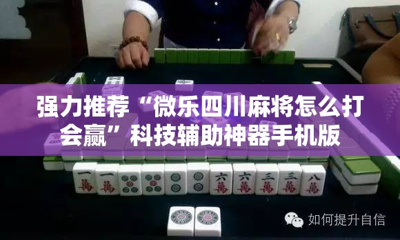 强力推荐“微乐四川麻将怎么打会赢”科技辅助神器手机版