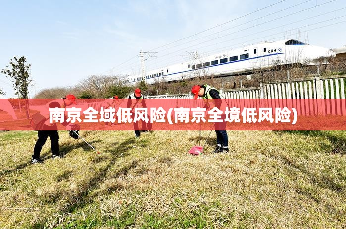 南京全域低风险(南京全境低风险)