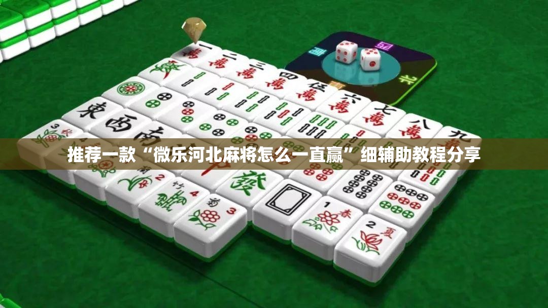 推荐一款“微乐河北麻将怎么一直赢”细辅助教程分享