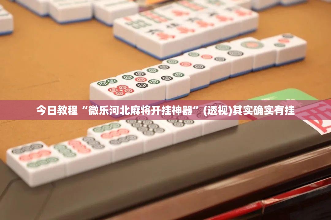 今日教程“微乐河北麻将开挂神器”(透视)其实确实有挂