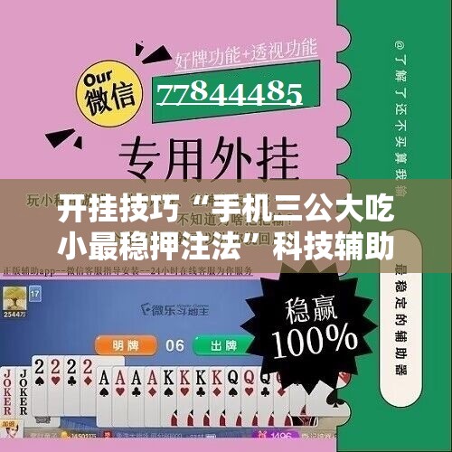开挂技巧“手机三公大吃小最稳押注法”科技辅助神器手机版
