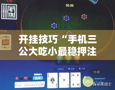 开挂技巧“手机三公大吃小最稳押注法”科技辅助神器手机版