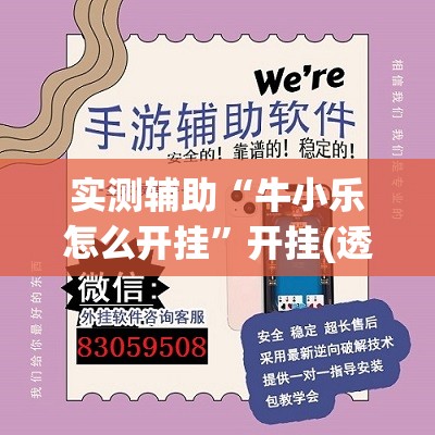 实测辅助“牛小乐怎么开挂”开挂(透视)辅助教程