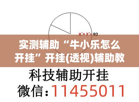 实测辅助“牛小乐怎么开挂”开挂(透视)辅助教程