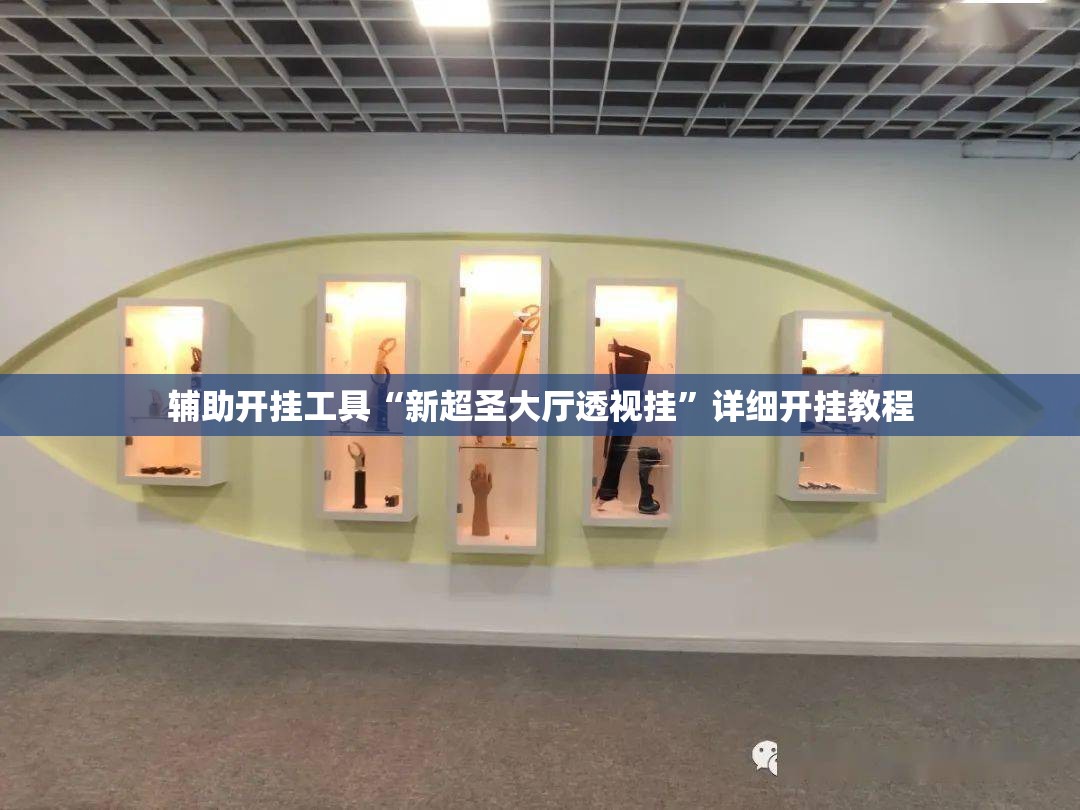 辅助开挂工具“新超圣大厅透视挂	”详细开挂教程