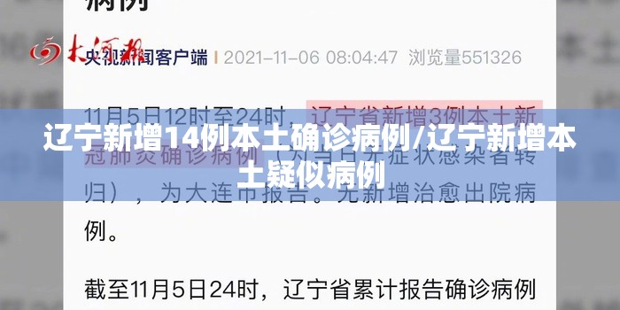 辽宁新增14例本土确诊病例/辽宁新增本土疑似病例 辽宁新增14例本土确诊病例/辽宁新增本土疑似病例