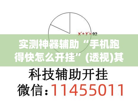 实测神器辅助“手机跑得快怎么开挂”(透视)其实确实有挂
