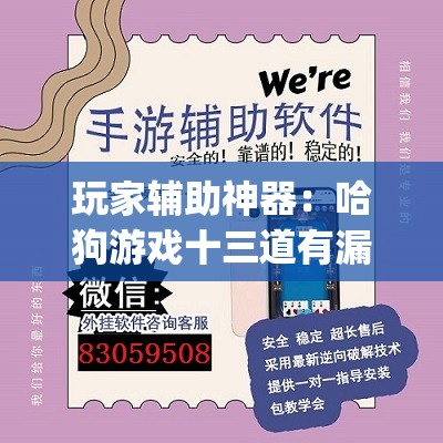 玩家辅助神器：哈狗游戏十三道有漏洞吗(透视)”开挂辅助脚本+详细开挂安装教程
