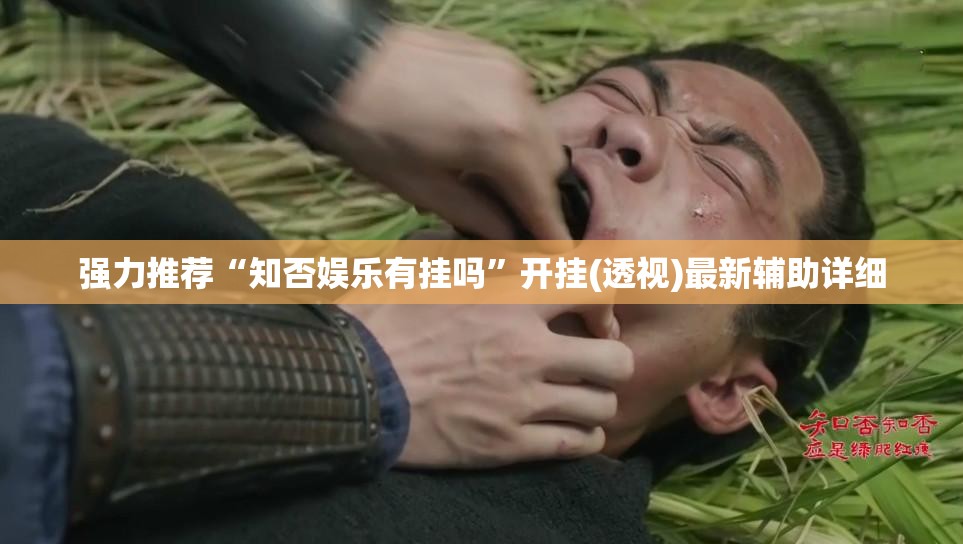 强力推荐“知否娱乐有挂吗”开挂(透视)最新辅助详细