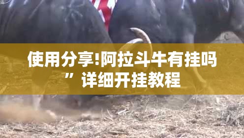 使用分享!阿拉斗牛有挂吗”详细开挂教程