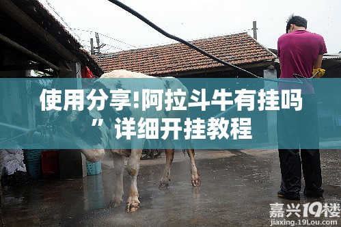 使用分享!阿拉斗牛有挂吗	”详细开挂教程