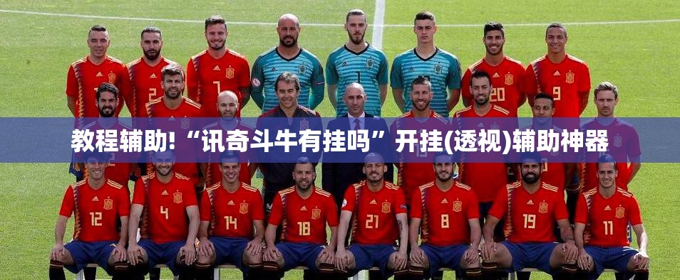 教程辅助!“讯奇斗牛有挂吗”开挂(透视)辅助神器