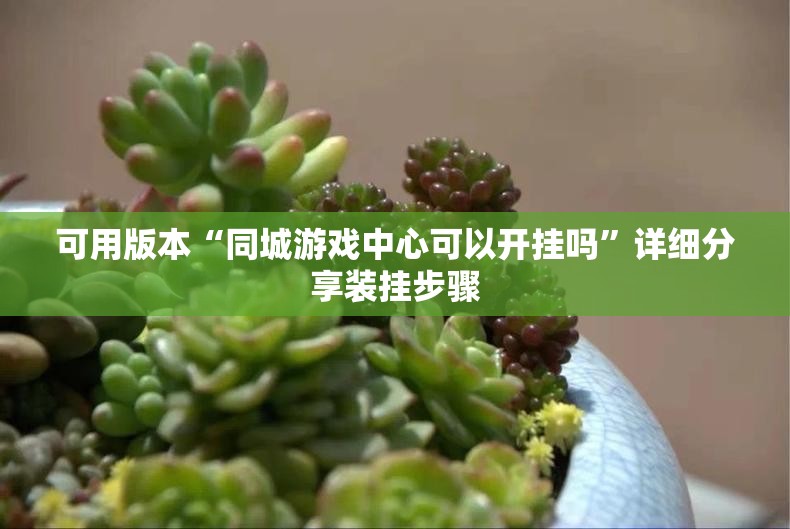 可用版本“同城游戏中心可以开挂吗”详细分享装挂步骤