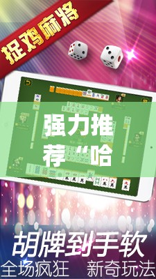强力推荐“哈哈贵阳捉鸡麻将特点开挂是不是真的(透视)”开挂辅助脚本+详细开挂安装教程